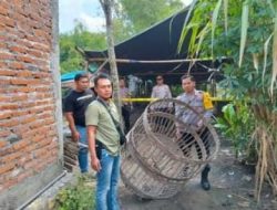 Polsek Bagor Bongkar Arena Sabung Ayam di Sugihwaras, Warga Diminta Tak Biarkan Perjudian Berkembang