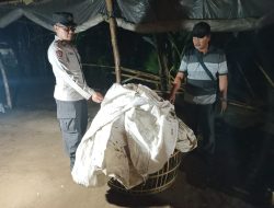 Polisi Bongkar Lokasi Diduga Sebagai Arena Judi Sabung Ayam di Ngronggot
