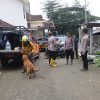 Libatkan Anjing Pelacak Polisi Kembali Cari Korban Longsor di Trenggalek