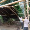 Tegas Berantas Perjudian Polisi Bongkar Lima Arena Sabung Ayam di Jember