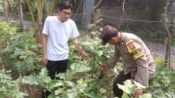 Img 20250607 Wa0139