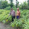 Wujudkan Kemandirian Pangan, Polsek Patianrowo Dampingi Warga Kelola Pekarangan