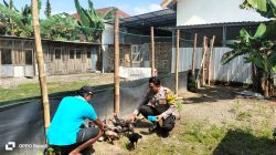Img 20250616 Wa0300