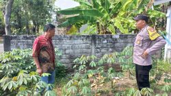 Img 20250617 Wa0371