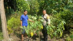 Img 20250620 Wa1052