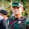 Suro Cinta Damai: Ora Usah Neko-Neko