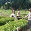 Polres Nganjuk Dukung Ketahanan Pangan Lewat Pemanfaatan Lahan Pekarangan di Desa Sonopatik