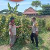 Optimalisasi Lahan Kosong, Warga Sonopatik Dukung Ketahanan Pangan Lewat Budidaya Kacang Panjang dan Terong