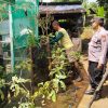 Polsek Sawahan Dukung Ketahanan Pangan Lewat Pemanfaatan Lahan Perkarangan