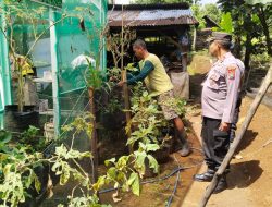 Polsek Sawahan Dukung Ketahanan Pangan Lewat Pemanfaatan Lahan Perkarangan