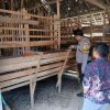Polsek Lengkong Dukung Ketahanan Pangan Lewat Pemantauan Peternakan Warga