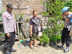 Seledri Sehat dari Pekarangan: Polsek Sawahan Dukung Ketahanan Pangan Warga