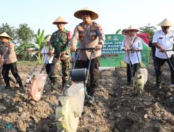 Sinergi Wujudkan Ketahanan Pangan, Kapolres Pelabuhan Tanjung Perak Pimpin Penanaman Benih Jagung di Kenjeran