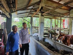 Bhabinkamtibmas Nglawak Pantau Peternakan Warga, Dukung Program Ketahanan Pangan