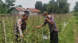 Img 20250804 Wa0104