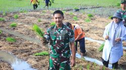 Img 20250806 Wa0223