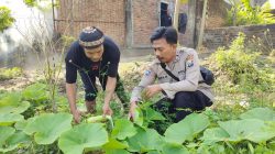 Img 20250808 Wa0103