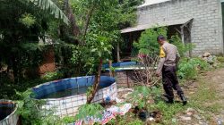 Img 20250809 Wa0341
