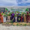 “EMP Gandewa Bersama Ibu-ibu Puskesmas Rantau Bais Panen Sayur Hidroponik Kelompok Tunas Gandewa”