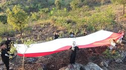 Img 20250817 Wa0209