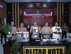 Operasi Tumpas Narkoba Polres Blitar Kota Amankan 9 Tersangka 1 Diantaranya Pemilik Lahan Ganja