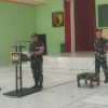 Peringati HUT ke-80 TNI, Korem 081/DSJ Terus Tebar Bansos