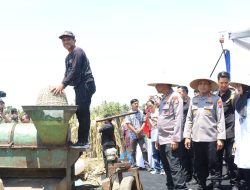 Komitmen Wujudkan Ketahanan Pangan Nasional, Kapolda Jatim Bersama Forkopimda Banyuwangi Gelar Panen Jagung Serentak 1.446 Ton