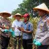 Dukung Swasembada Pangan Nasional Polresta Malang Kota Targetkan Lahan 26,35 Hektar untuk Kuartal IV