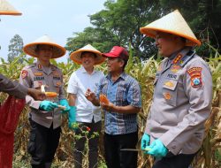 Dukung Swasembada Pangan Nasional Polresta Malang Kota Targetkan Lahan 26,35 Hektar untuk Kuartal IV