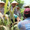 Dukung Swasembada Pangan Nasional Polresta Malang Kota Targetkan Lahan 26,35 Hektar untuk Kuartal IV