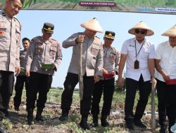 Polres Nganjuk Dukung Program Jagung Serentak Kuartal IV dan Wujudkan Kesejahteraan Petani