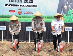 Kapolda Jatim Pimpin Penanaman Jagung Serentak Kwartal IV di Mojokerto Pakai Benih Eco Bhayangkara