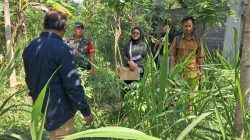 Img 20251010 Wa0053