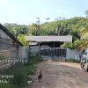 Mafia BBM Bersubsidi Guncang Simpang Granit! Dugaan Penimbunan Terstruktur Terbongkar, Pakar Hukum Desak Penegakan Hukum Tanpa Pandang Bulu!