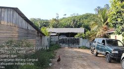 Img 20251019 Wa0149