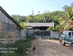 Mafia BBM Bersubsidi Guncang Simpang Granit! Dugaan Penimbunan Terstruktur Terbongkar, Pakar Hukum Desak Penegakan Hukum Tanpa Pandang Bulu!