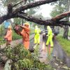 Respon Cepat Polisi dan BPBD Evakuasi Pohon Tumbang, Jalur Magetan – Bendo Kembali Lancar