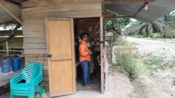 C5b562c1040a21fda19802ecec50e0721d4cc6c50010fb9b09054a57eab140c1.0