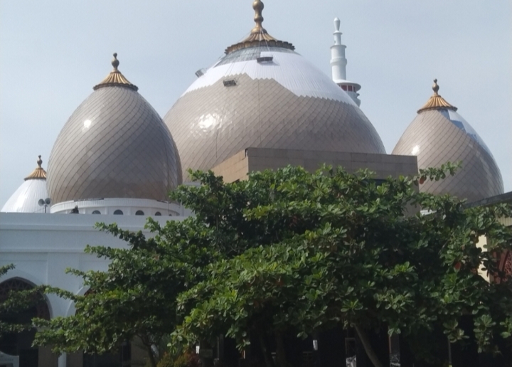 A50b024dee7a9772c5110f568e4a01ffc2538a1ea8f52e7402b5db40a235becb.0