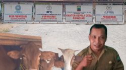 Backgrounderaser 20251202 185409871