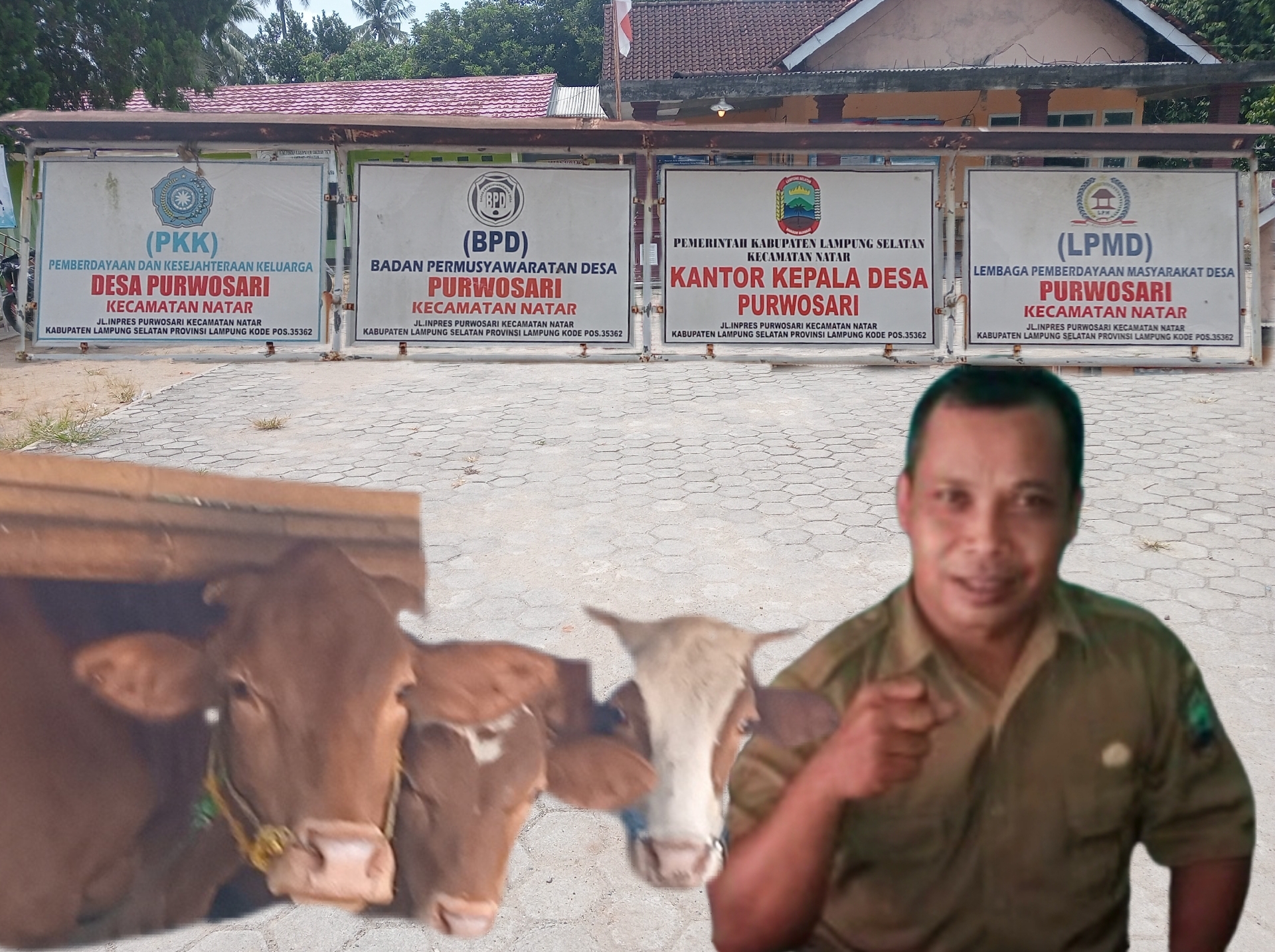 Backgrounderaser 20251202 185409871