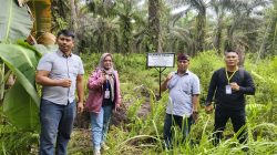 Screenshot 20251207 074325