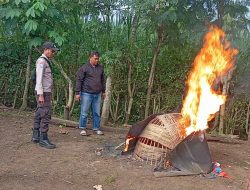 Polres Malang Bongkar Arena Judi Sabung Ayam di Kalipare