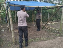 Polres Malang Kembali Bongkar Area Sabung Ayam di Kalipare