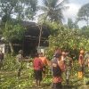 TNI–BPBD Sigap Evakuasi Pohon Tumbang di Sumberdadi Trenggalek