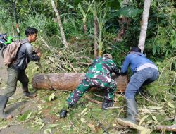Jalur Bendungan Trenggalek Lumpuh, Babinsa dan Warga Bergerak Cepat