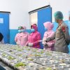 Kapolres Probolinggo Kota Tinjau Dapur SPPG Tongas, Pastikan Kesiapan MBG