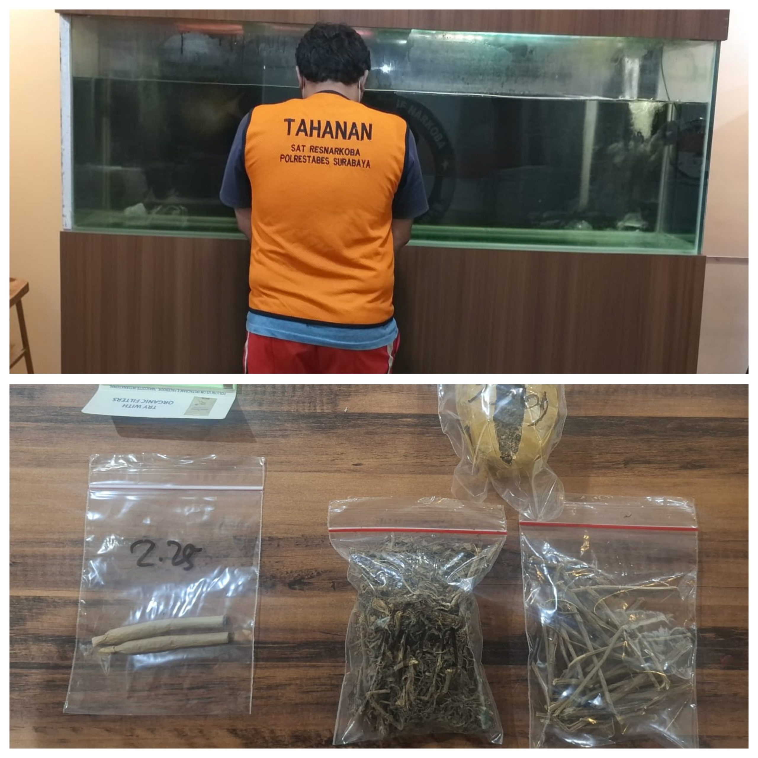 Gridart 20260223 125449587