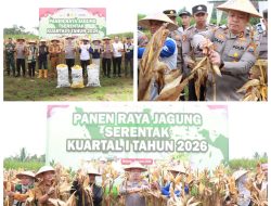Polres Malang Panen Raya Jagung, Hasil 8 Ton untuk Dukung Stok Pangan