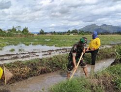 Lewat Semangat Gotong Royong, Babinsa Jaga Urat Nadi Pertanian